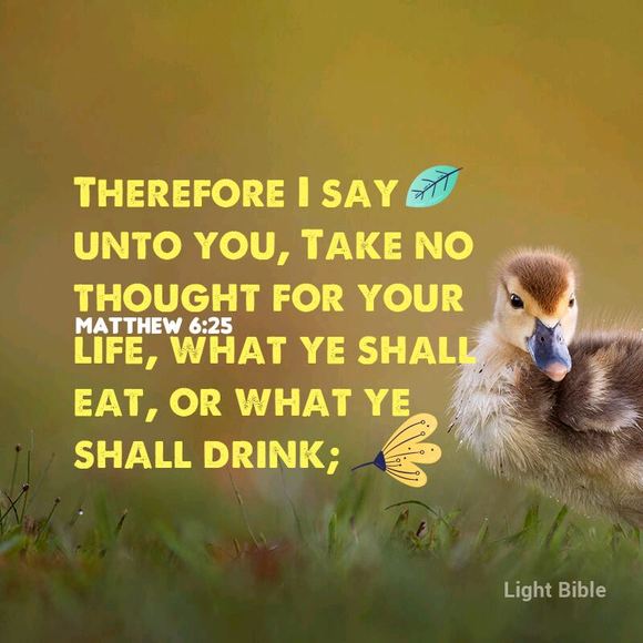 Meet the Posher Other - Meet your Posher, Chiboy